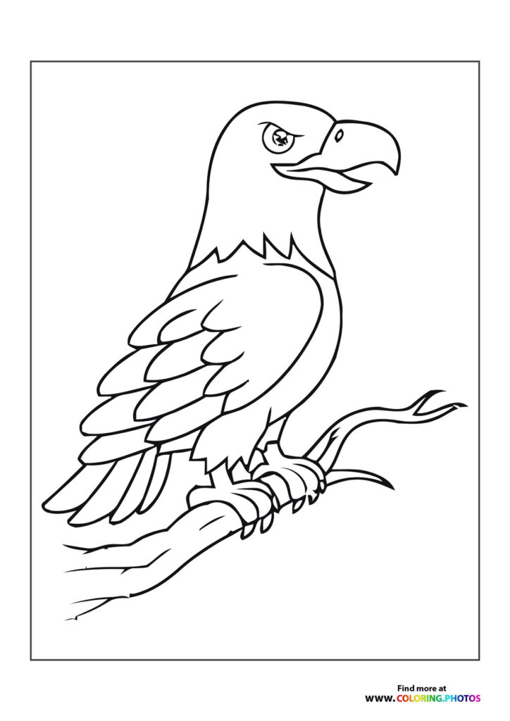 Eagle on a branch
