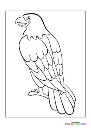 Eagle smiling