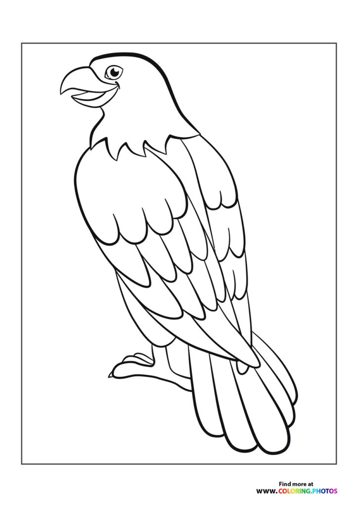 Eagle smiling