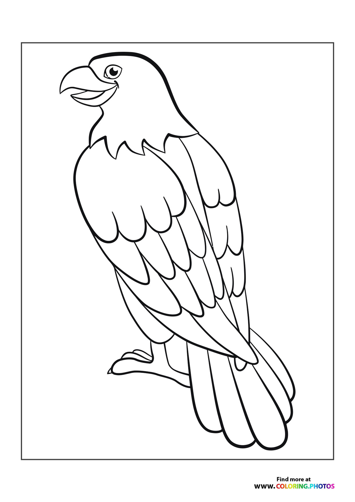 Eagle smiling