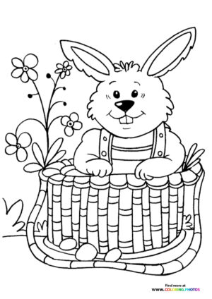 Easter Bunny in Basket