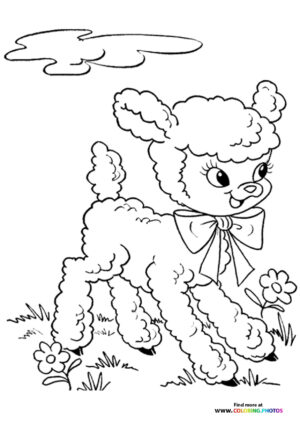 Easter sheep