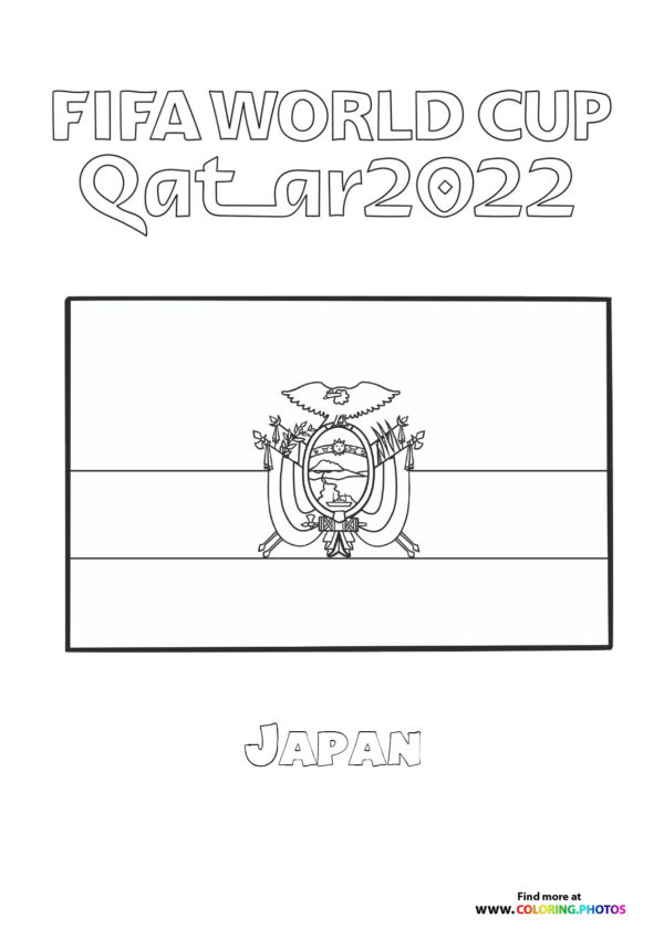 Ecuador World Cup flag