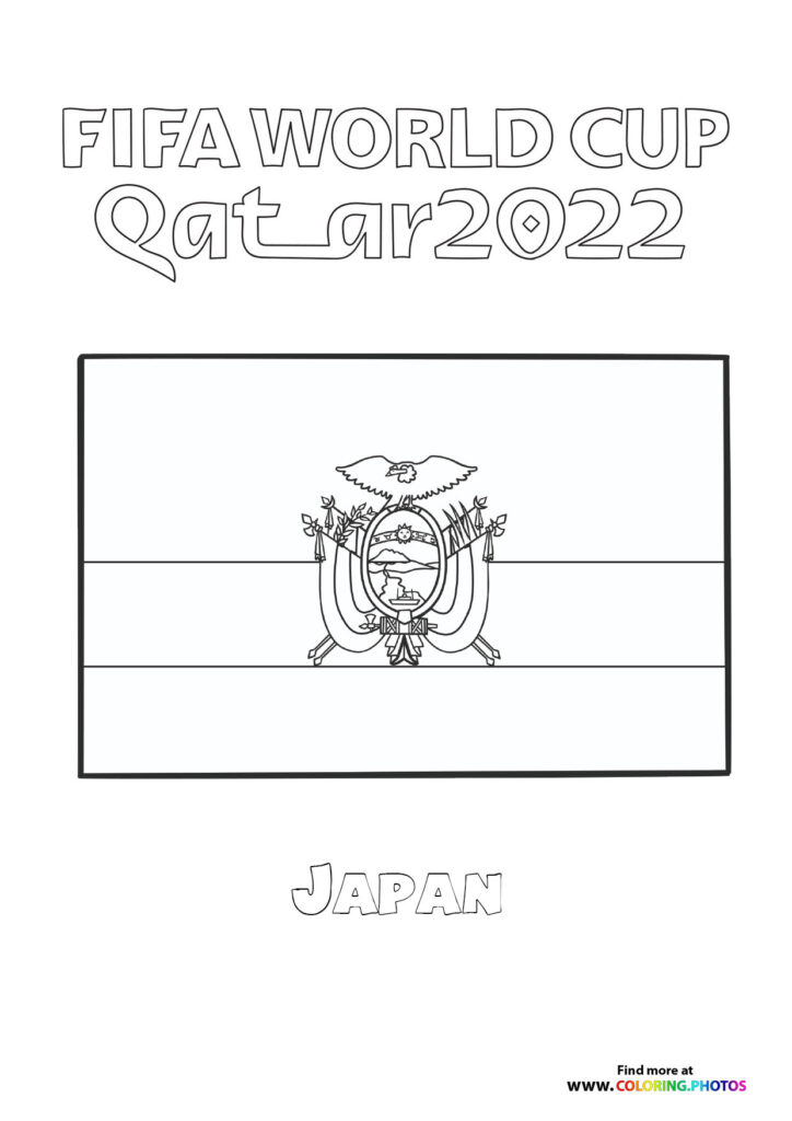 Ecuador World Cup flag