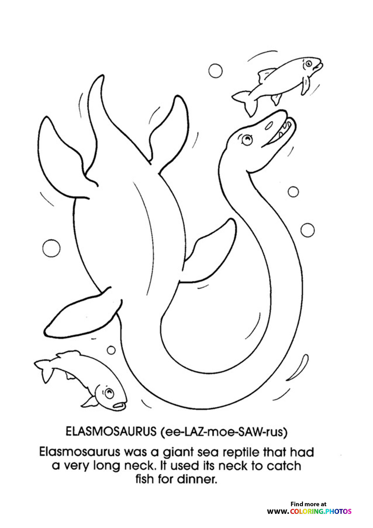 Elasmosaurus