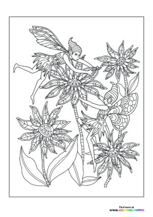 Fairies on flowers