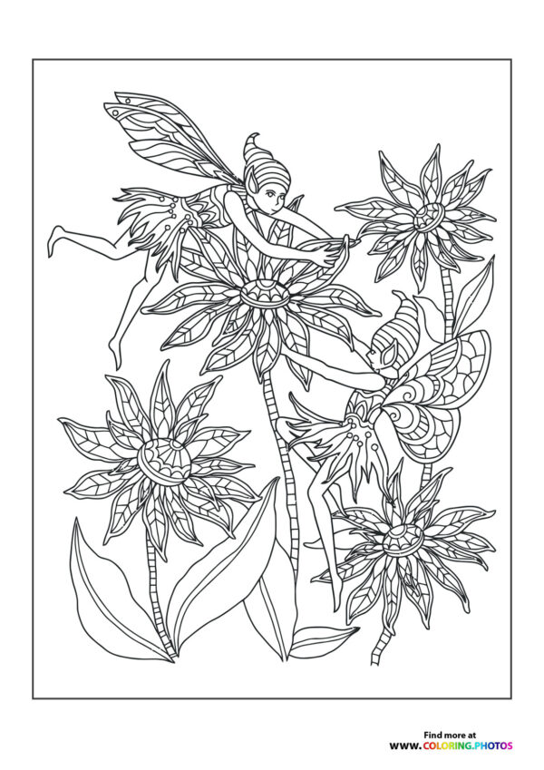 Fairies on flowers