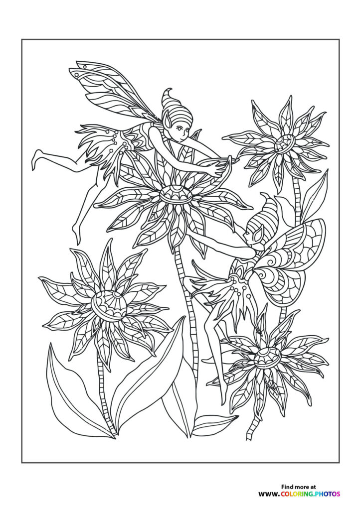 Fairies on flowers