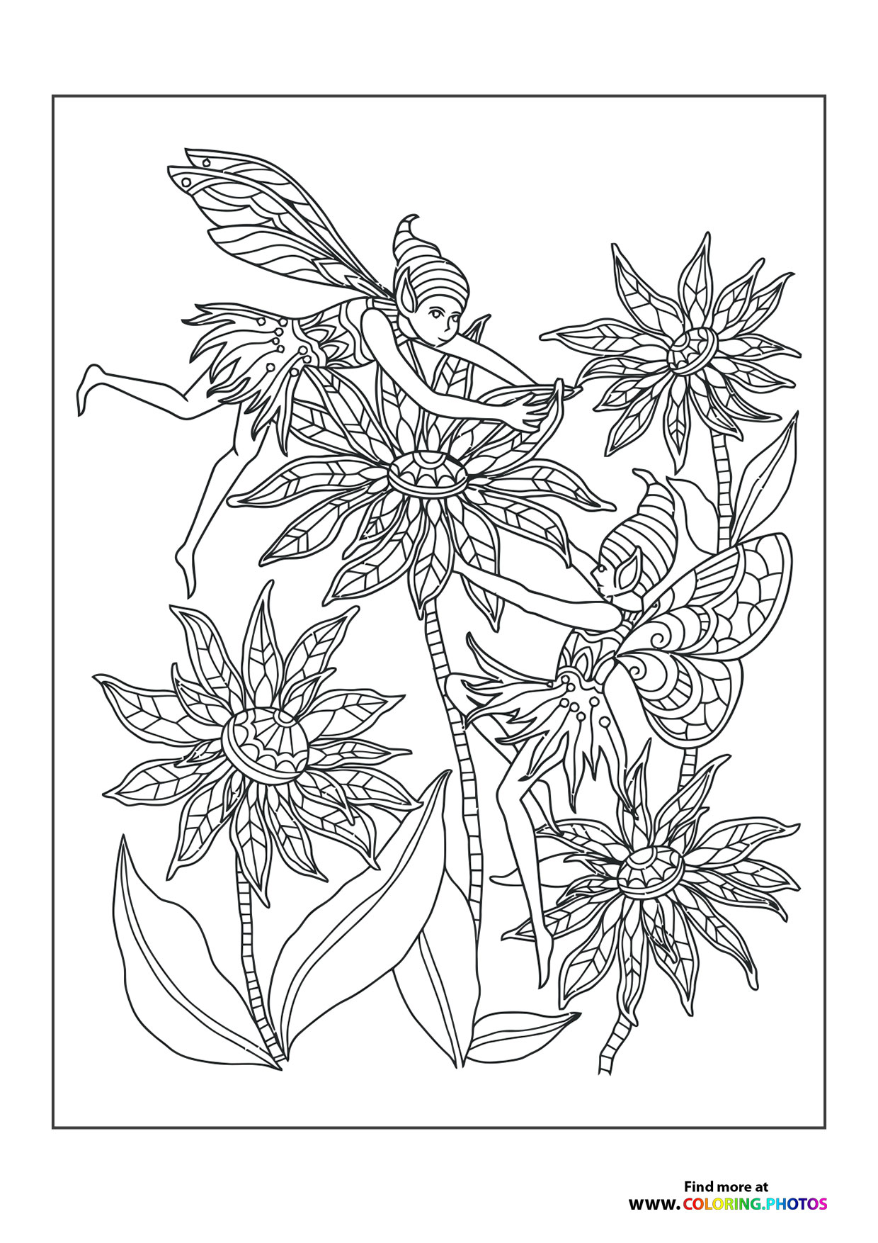 Fairies on flowers
