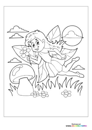 Fairy flying