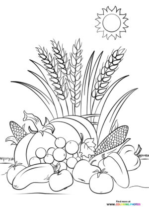 Fall fruit harvest