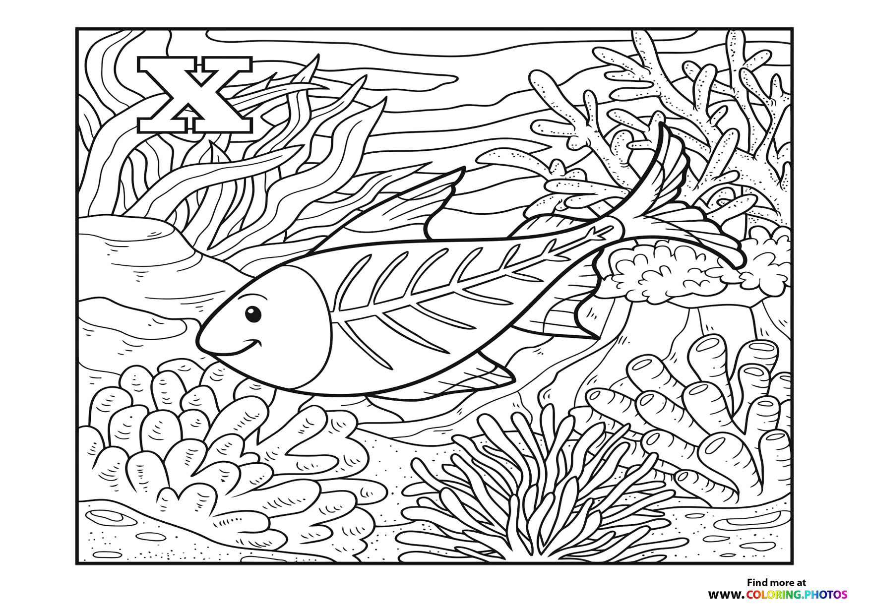 Fish in a sea