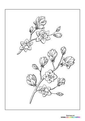 Flowers on a branch