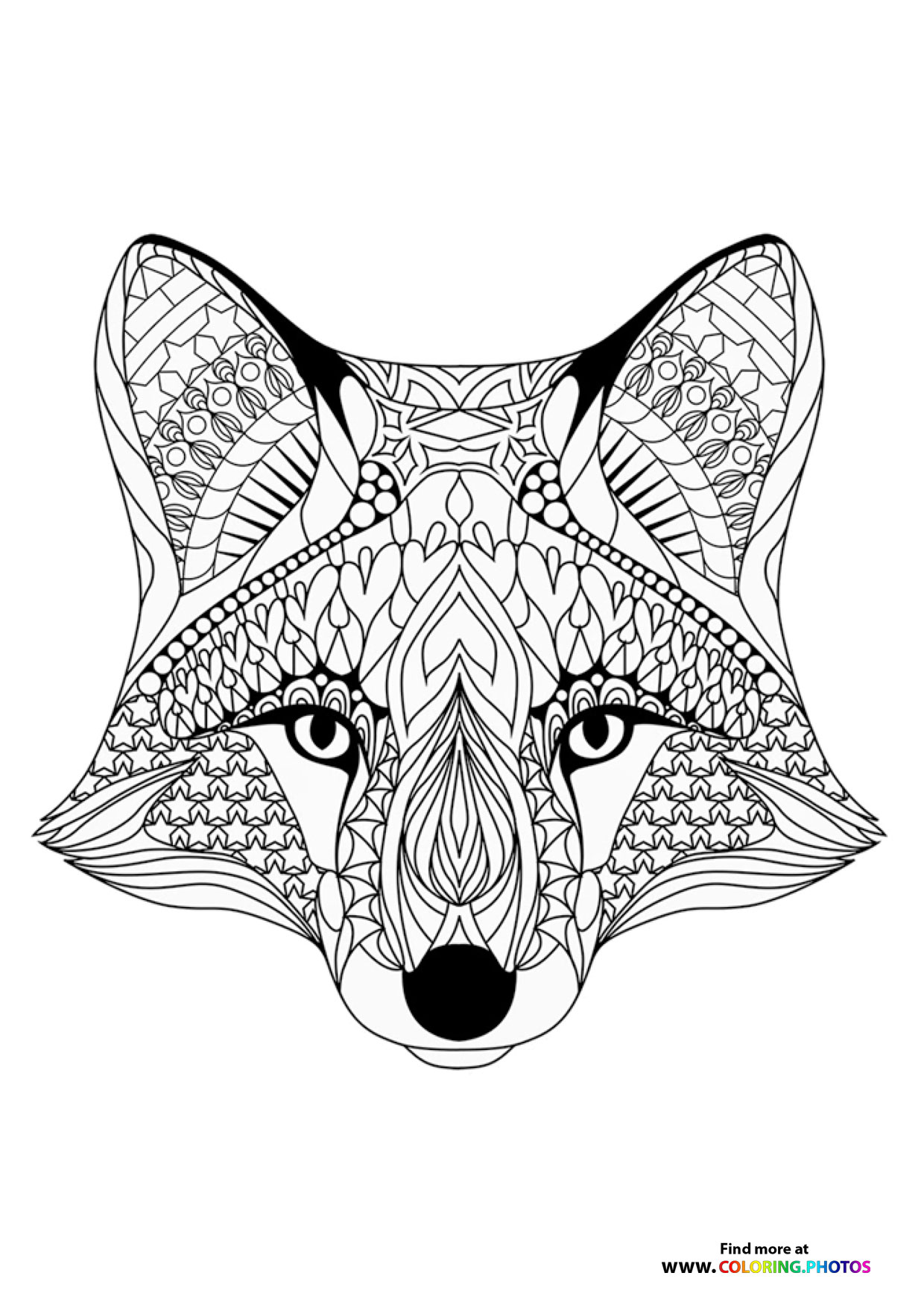 Fox coloring page for adults