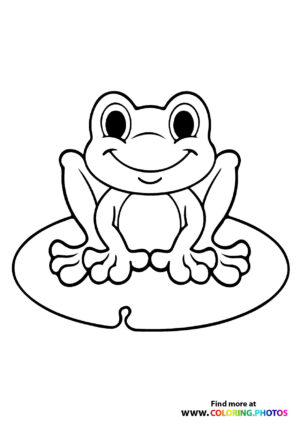 Cute frog on a leaf