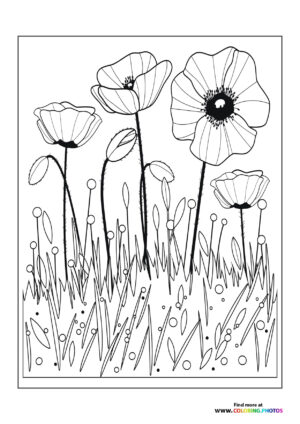 Garden flowers