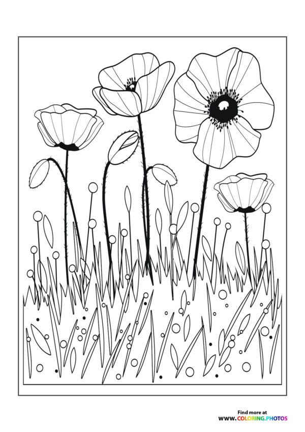 Garden flowers