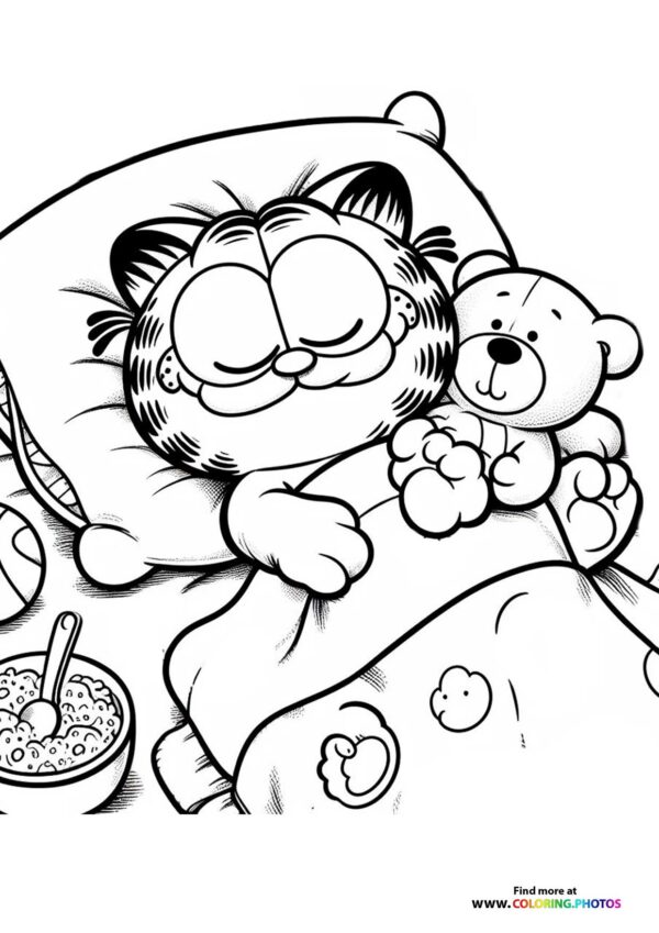Garfield with Teddy Bear