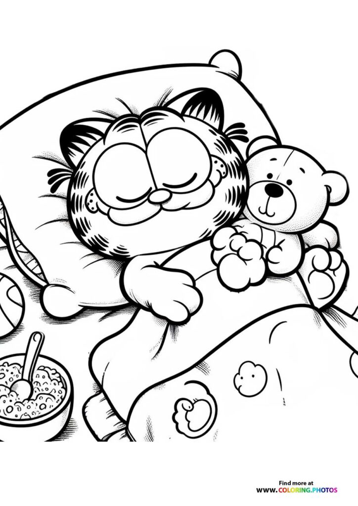 Garfield with Teddy Bear