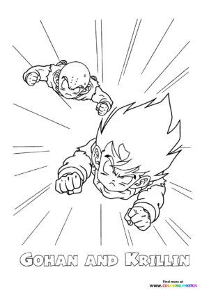 Gohan and Krillin Dragon Ball Z
