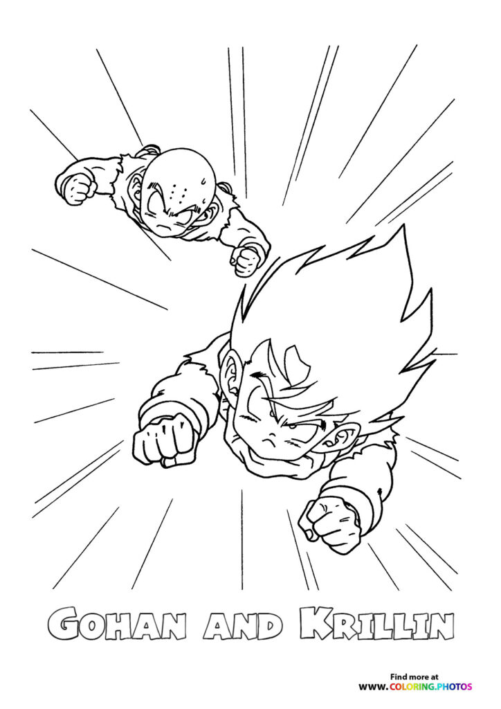 Gohan and Krillin Dragon Ball Z
