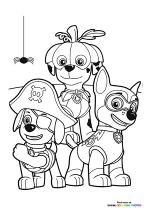 Paw Patrol Pups Halloween Pirates