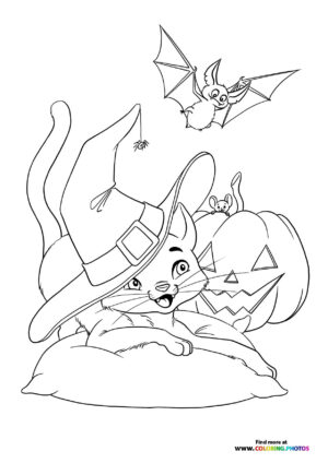 Cute hallween cat playing with a bat