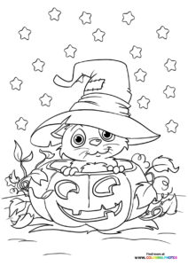 Halloween cats