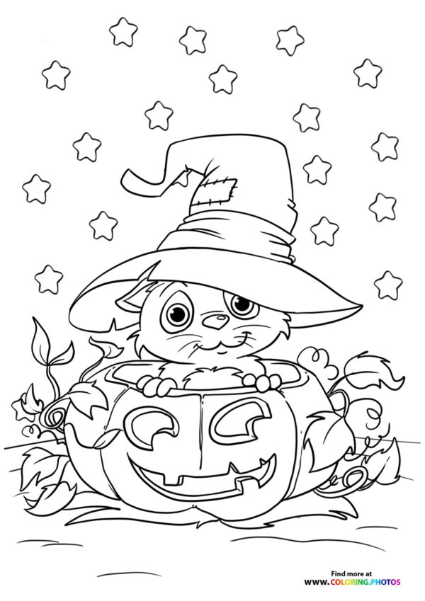 Hallween cat in a pumpkin coloring page