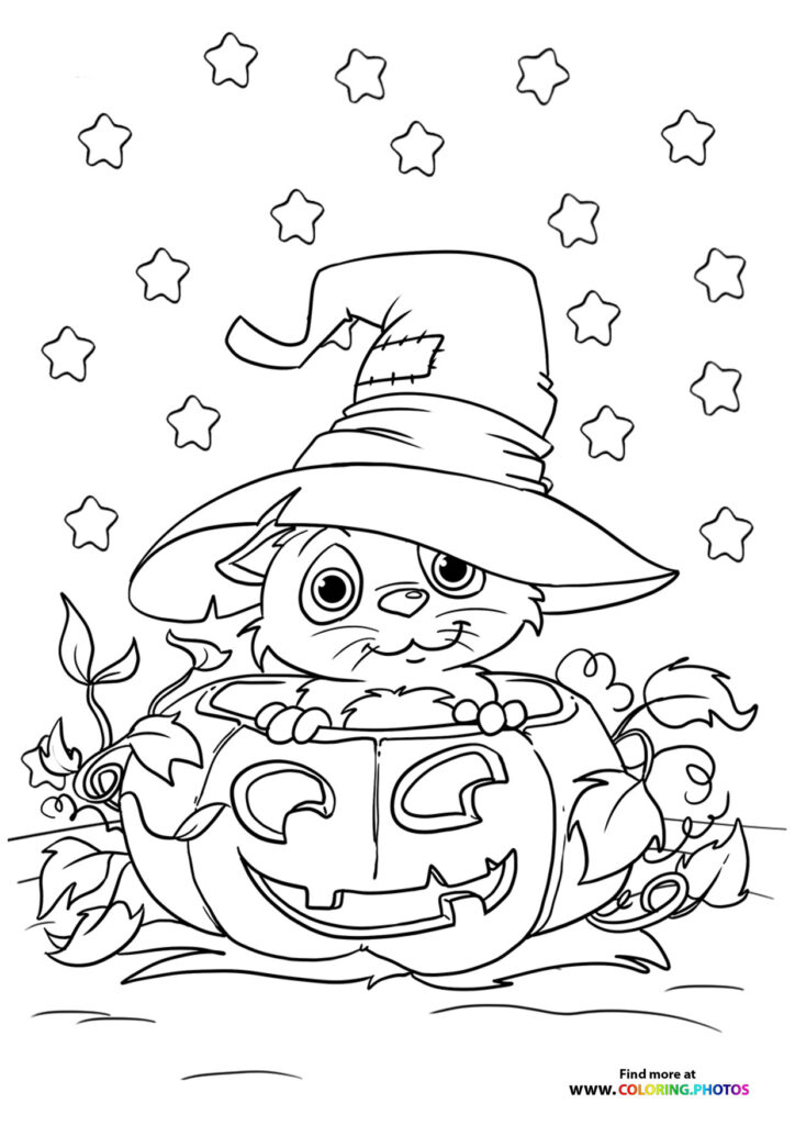 Hallween cat in a pumpkin coloring page