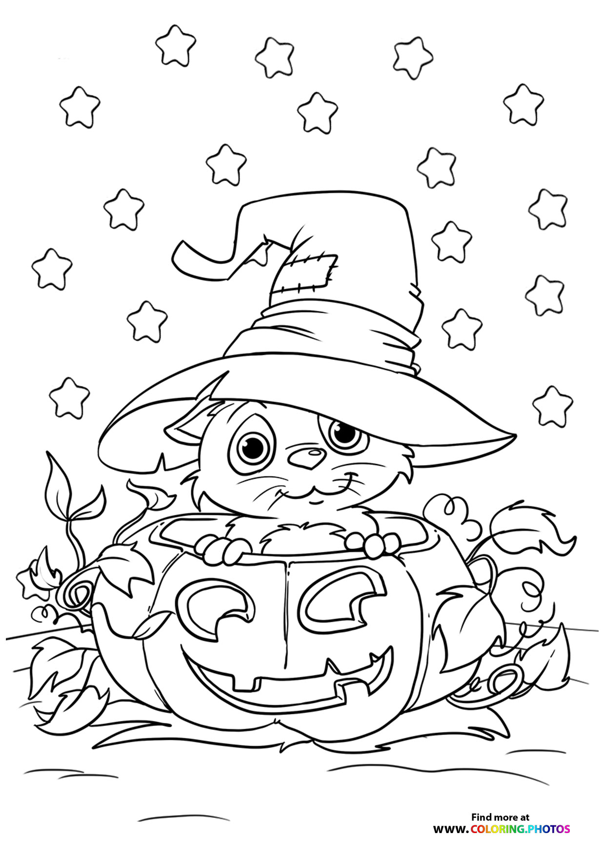 Hallween cat in a pumpkin coloring page