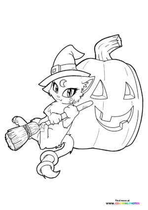 Hallween cat with a broom