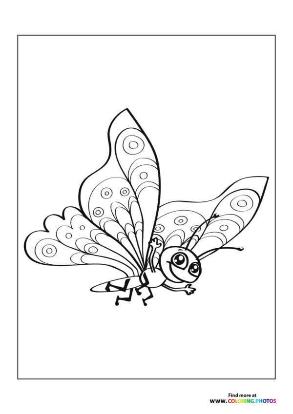 Happy butterfly flying