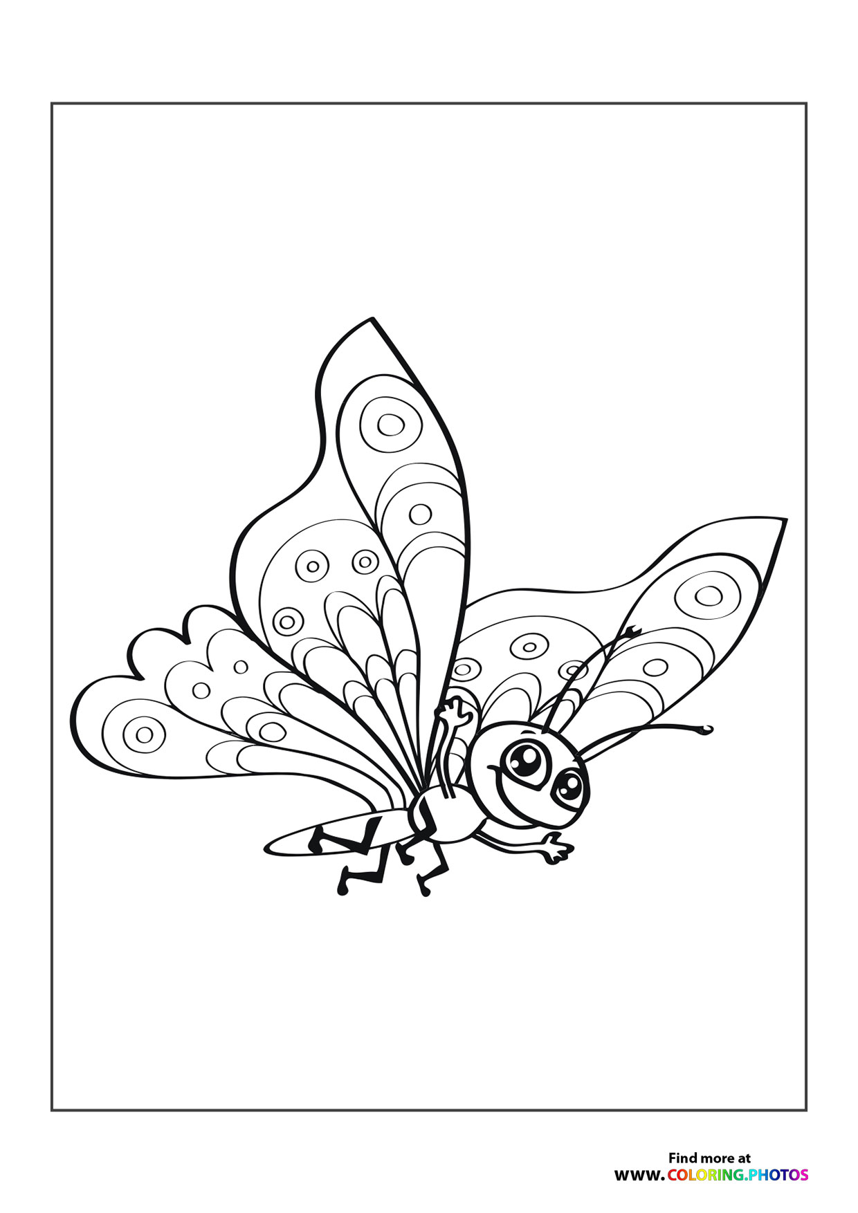Happy butterfly flying