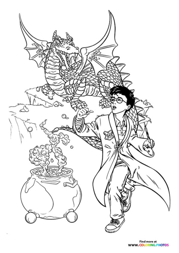Harry Potter with Dragon