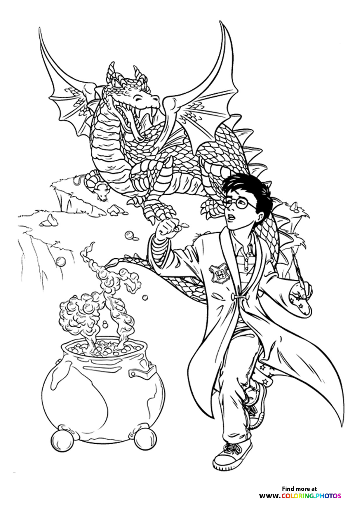 Harry Potter with Dragon