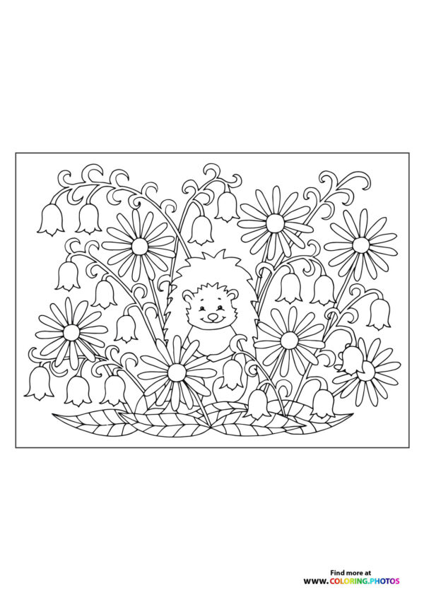 Hedgehog in flowers