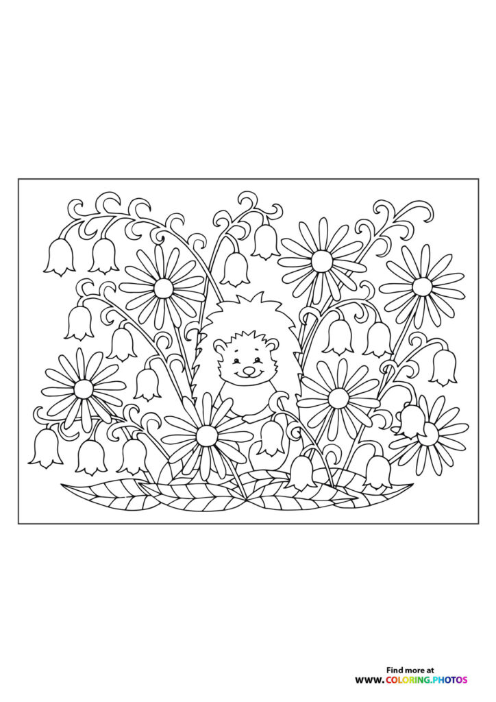 Hedgehog in flowers