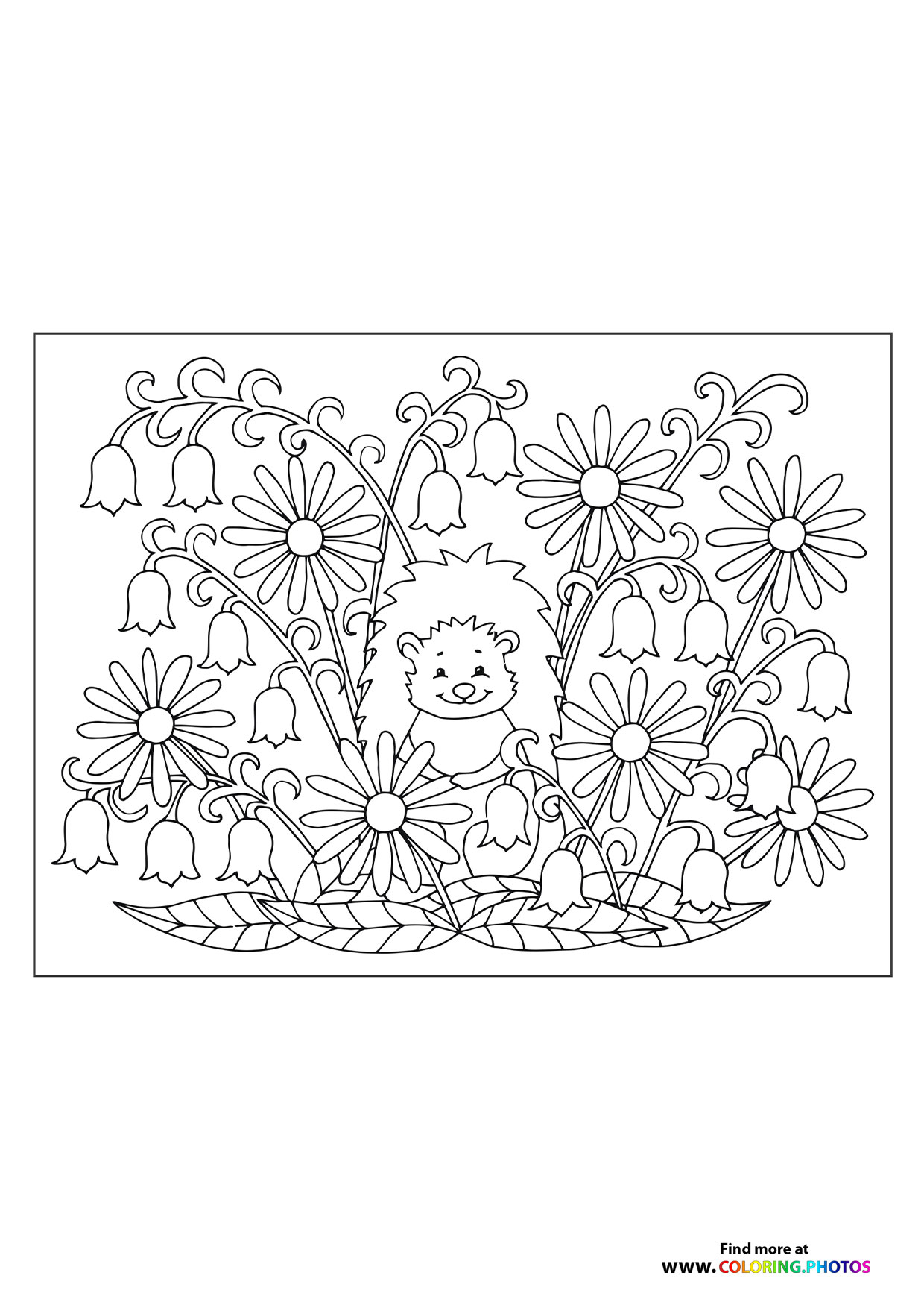 Hedgehog in flowers