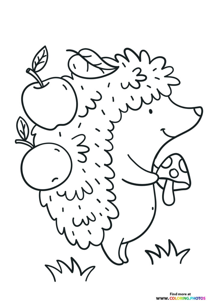 Cute hedgehog with apples coloring page