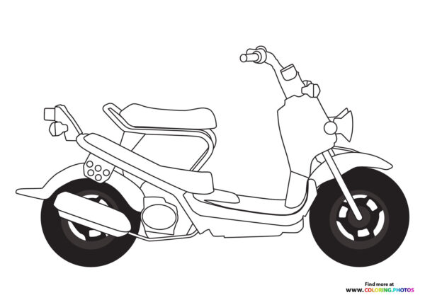 Honda ruckus