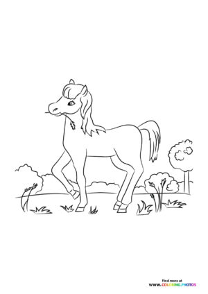 Horse eating