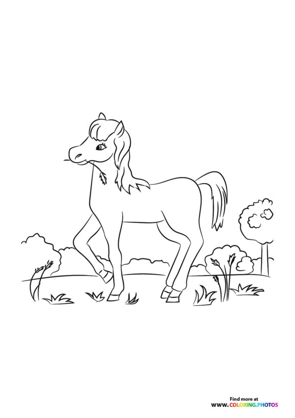 Horse eating