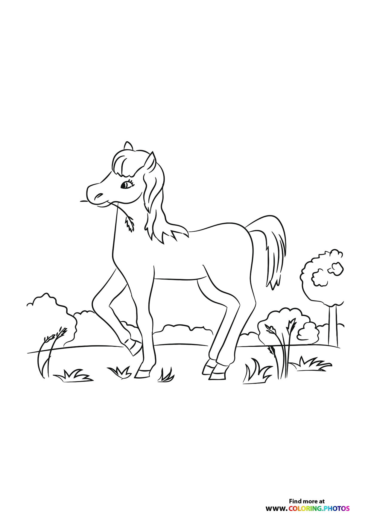 Horse eating