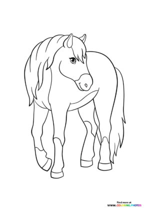 Horse posing