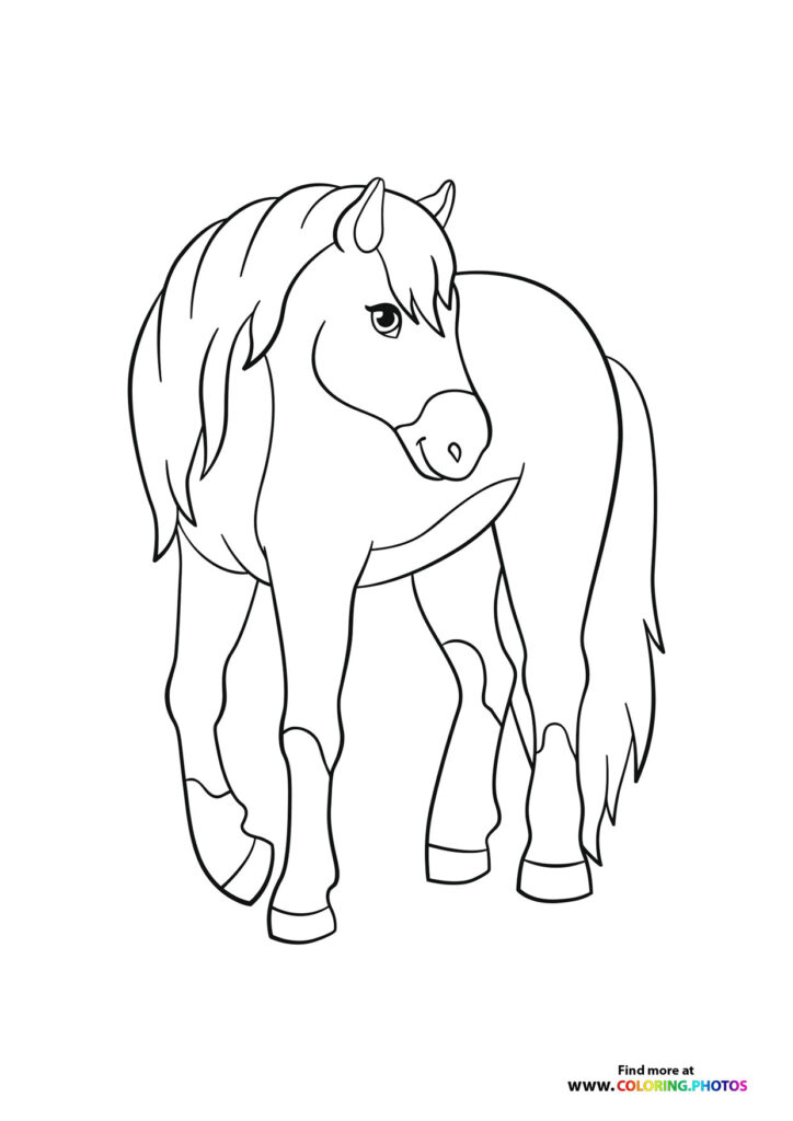 Horse posing