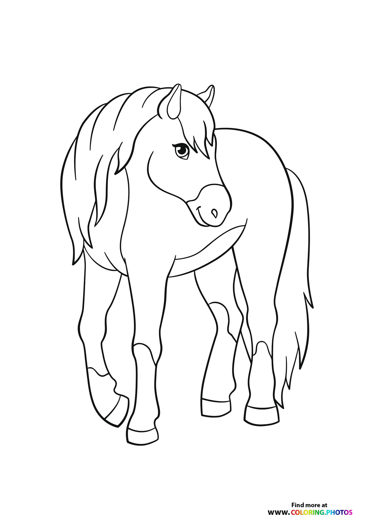 Horse posing