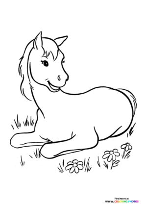 Horse relaxing