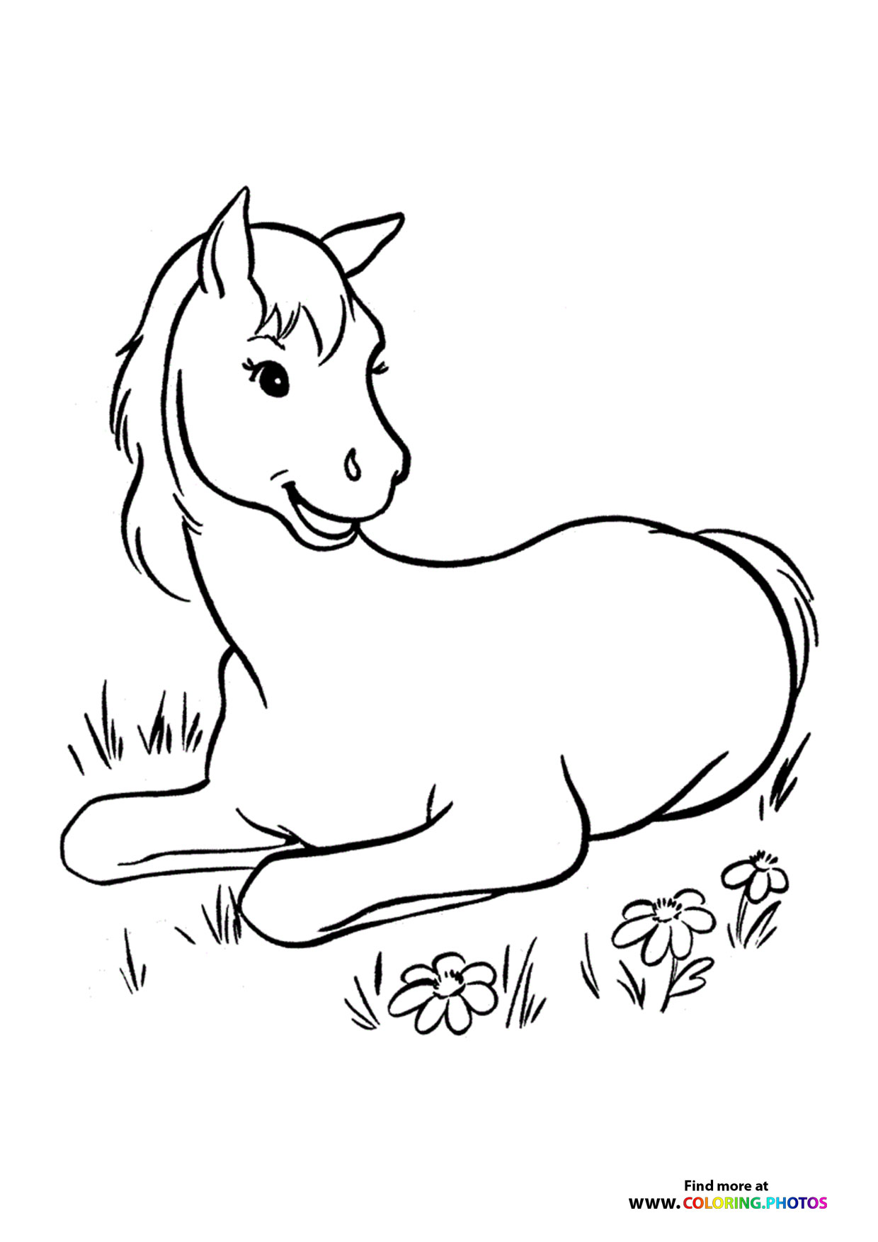 Horse relaxing