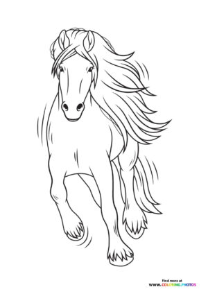 Horse running